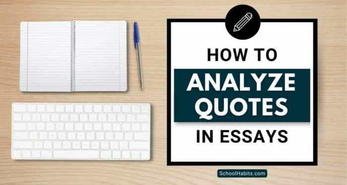 How to analyze quotes in essays: A step-by-step guide - SchoolHabits